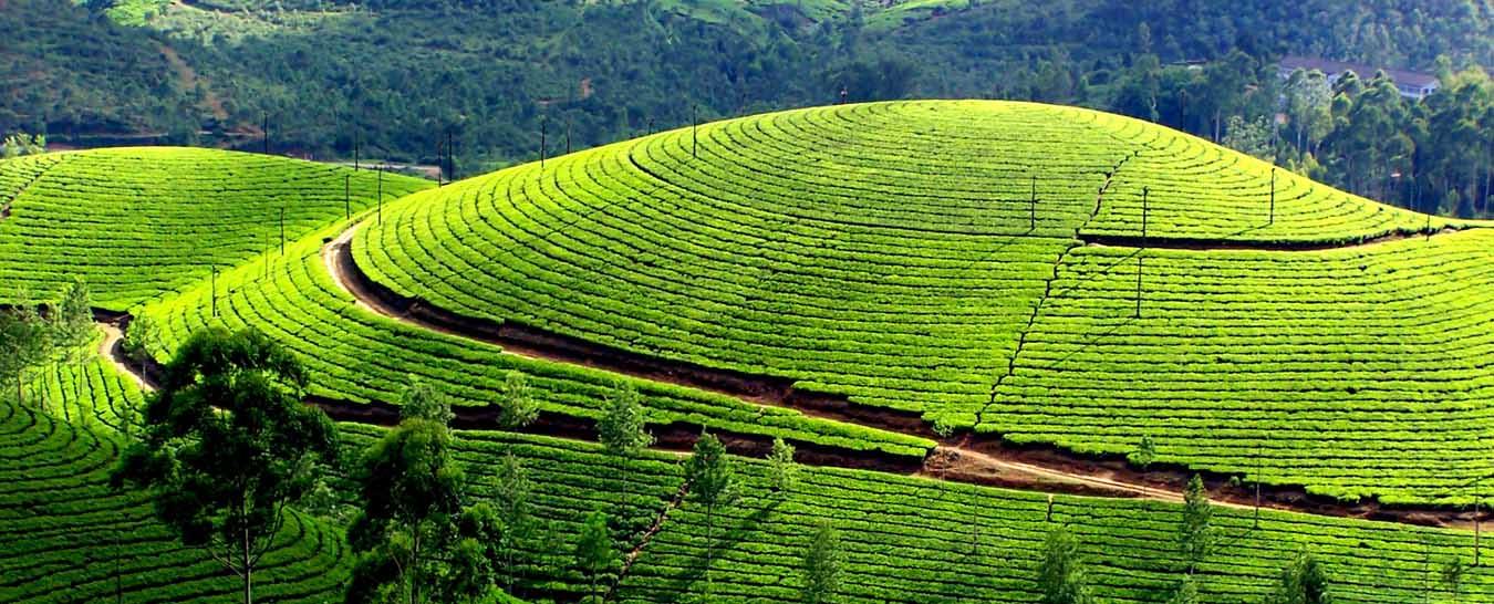 10 Nights 11 Days Explore Kerala